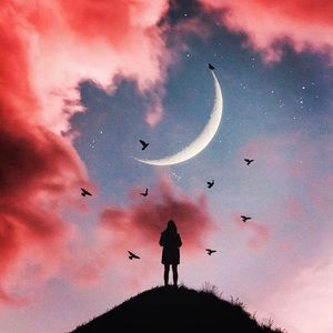 Meet your Posher, Victor